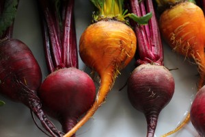 Red & Golden Beets 2