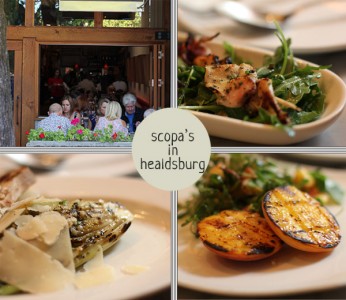 Scopa's